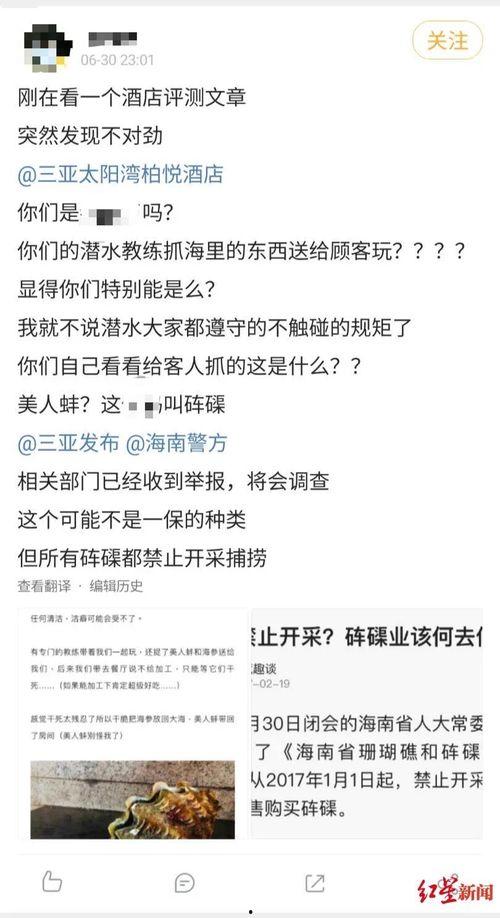 海南网友爆料新闻视频